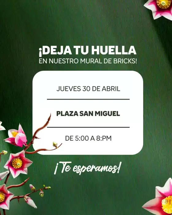 main_flyer image