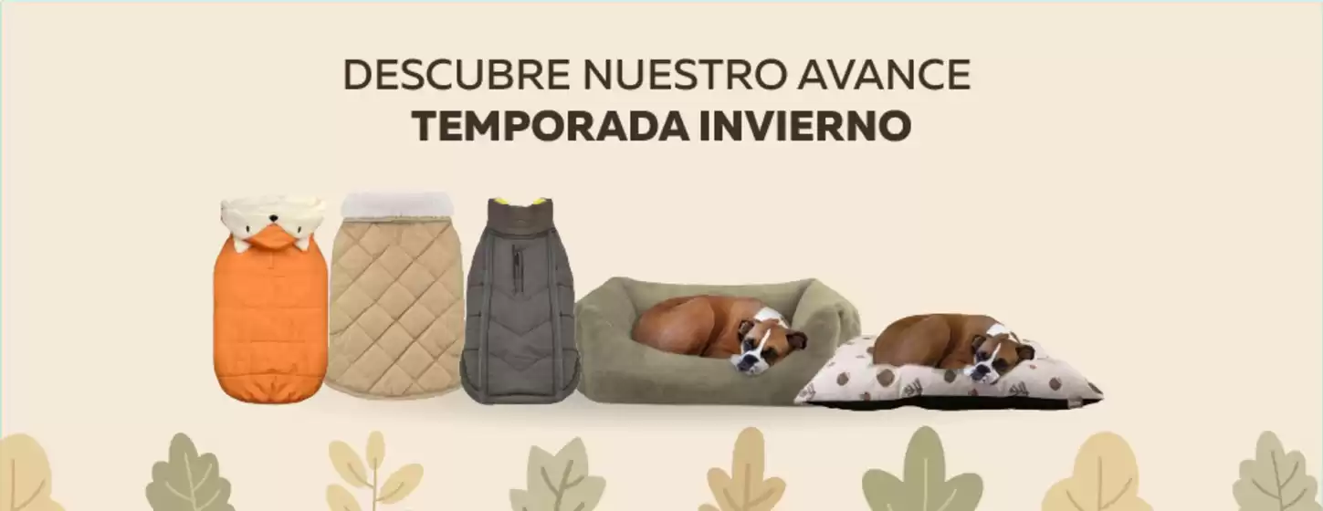 Catálogo Superpet | Ofertas para cazadores de gangas | 2026-12-01T00:00:00.000Z - 2027-02-28T00:00:00.000Z
