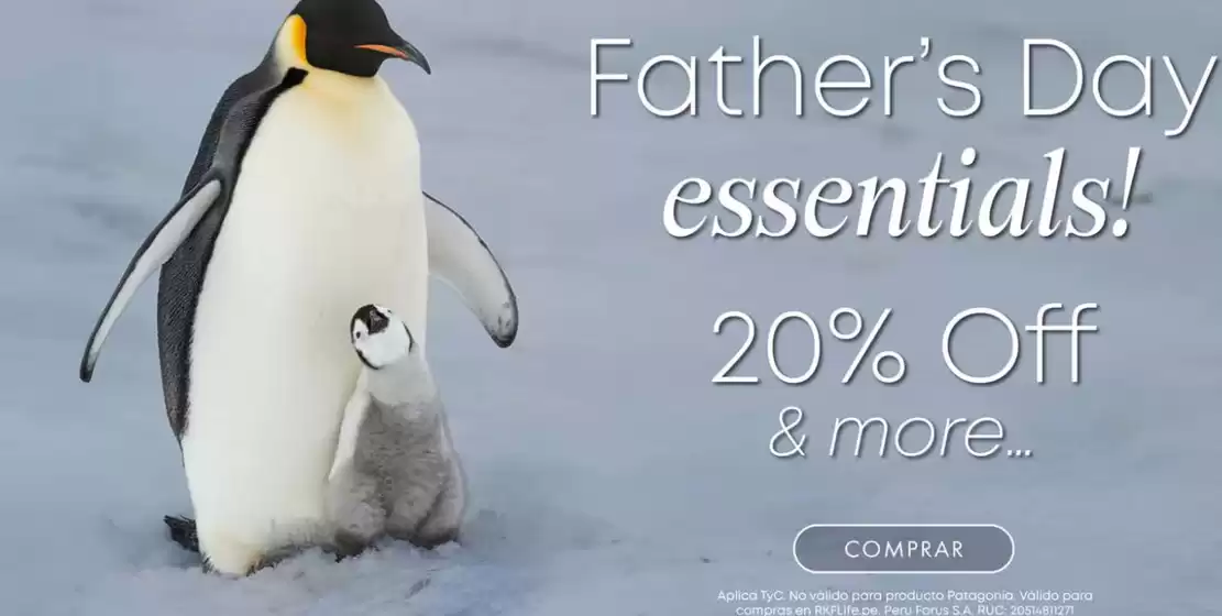 Catálogo RKF | Fathers day essentials!  | 2026-06-03T00:00:00.000Z - 2026-06-30T00:00:00.000Z
