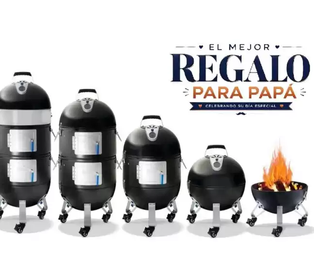 Catálogo The Barbecue Store | El mejor regalo para papa  | 2026-06-05T00:00:00.000Z - 2026-06-30T00:00:00.000Z