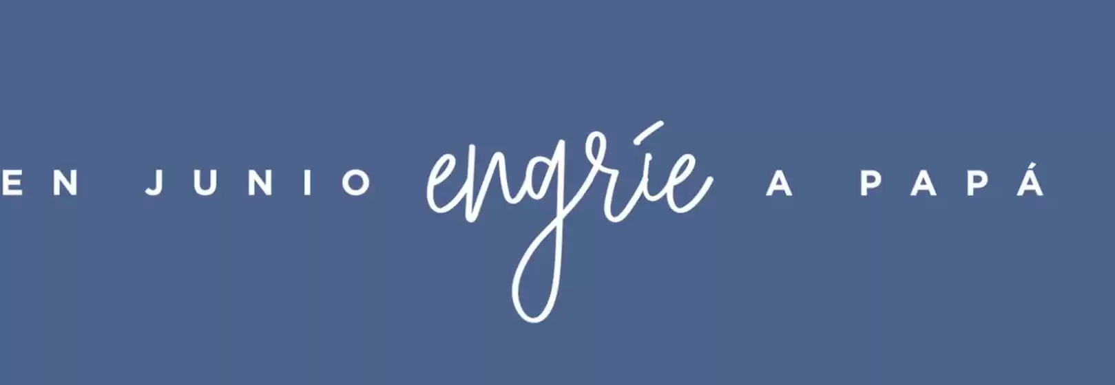 Catálogo Pionier | En junio engrie a papa | 2026-06-08T00:00:00.000Z - 2026-06-30T00:00:00.000Z