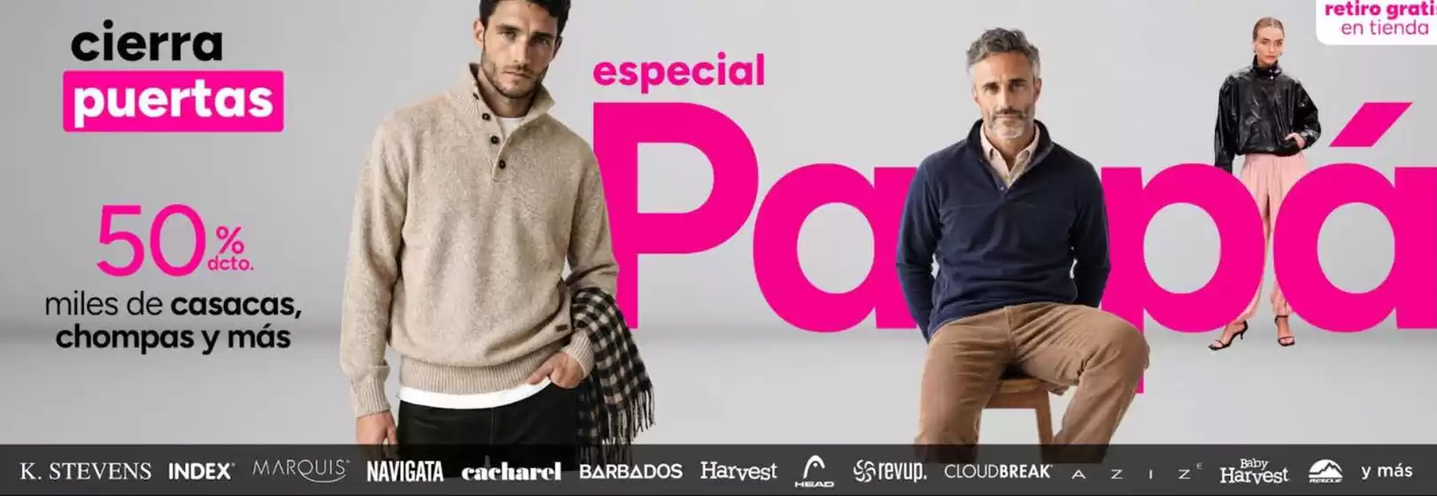 Catálogo Ripley | Cierra puertas especial Papa  | 2026-06-17T00:00:00.000Z - 2026-06-30T00:00:00.000Z