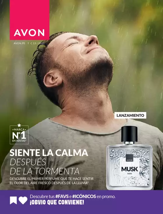 Despues de la tormenta 