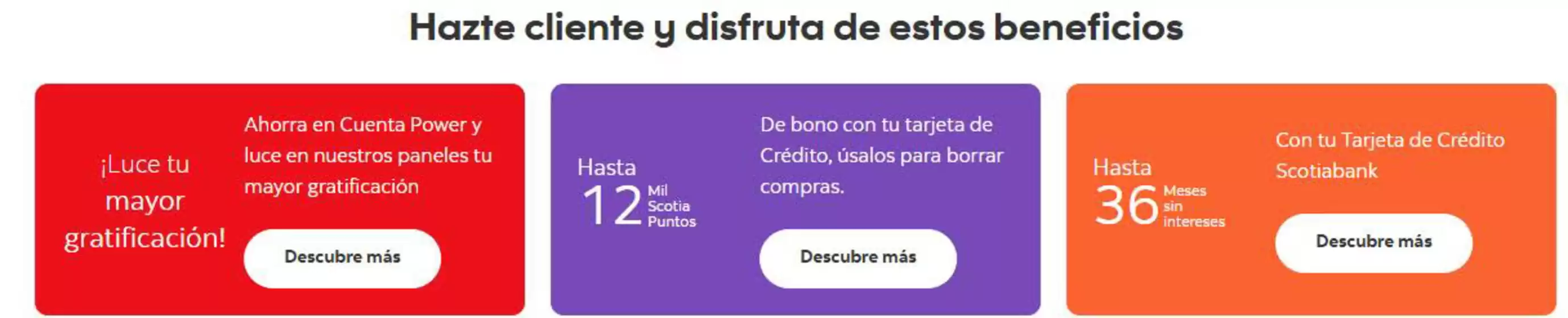 Hazte cliente y disfruta de estos beneficios