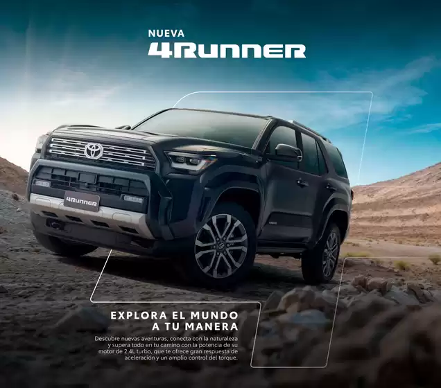 main_flyer image