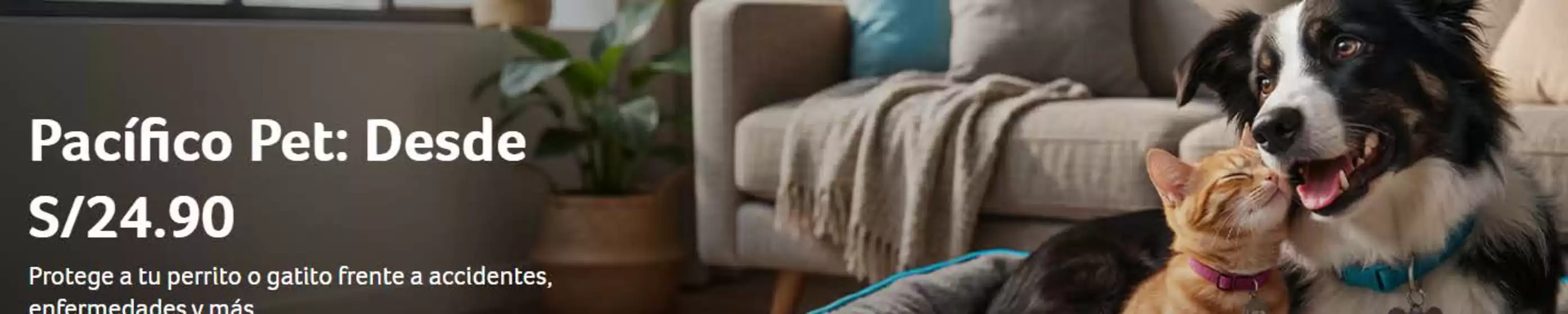 Catálogo Pacífico Seguros | Promos del mes | 2026-07-01T00:00:00.000Z - 2026-07-31T00:00:00.000Z