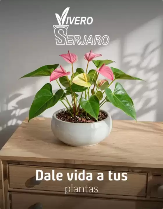 Catálogo Sodimac | Ofertas para cazadores de gangas | 2026-07-03T00:00:00.000Z - 2026-07-17T00:00:00.000Z