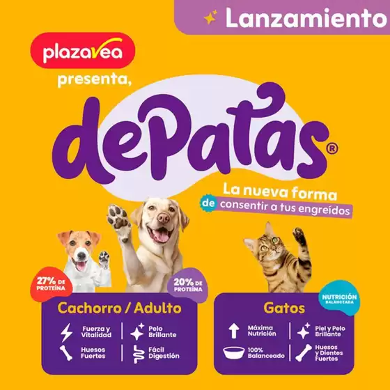 ESPECIAL MASCOTAS N4