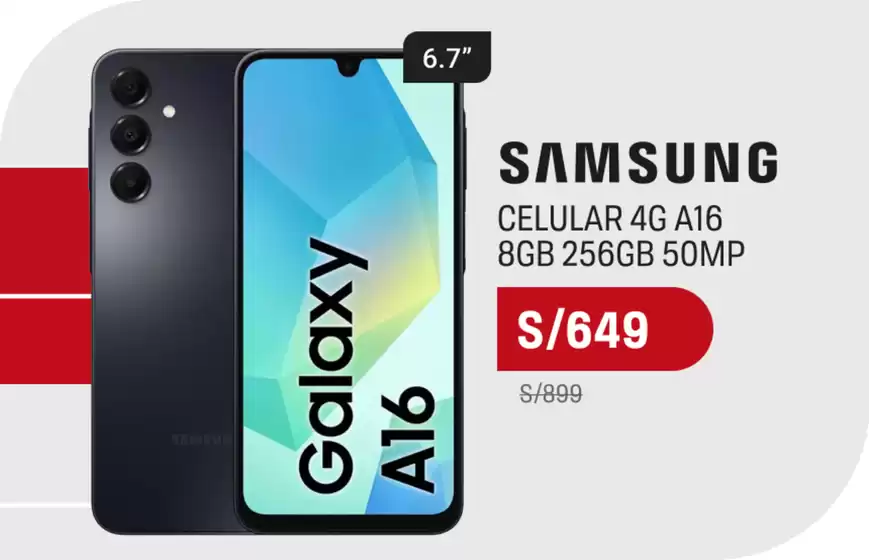 Nuevas ofertas para descubrir