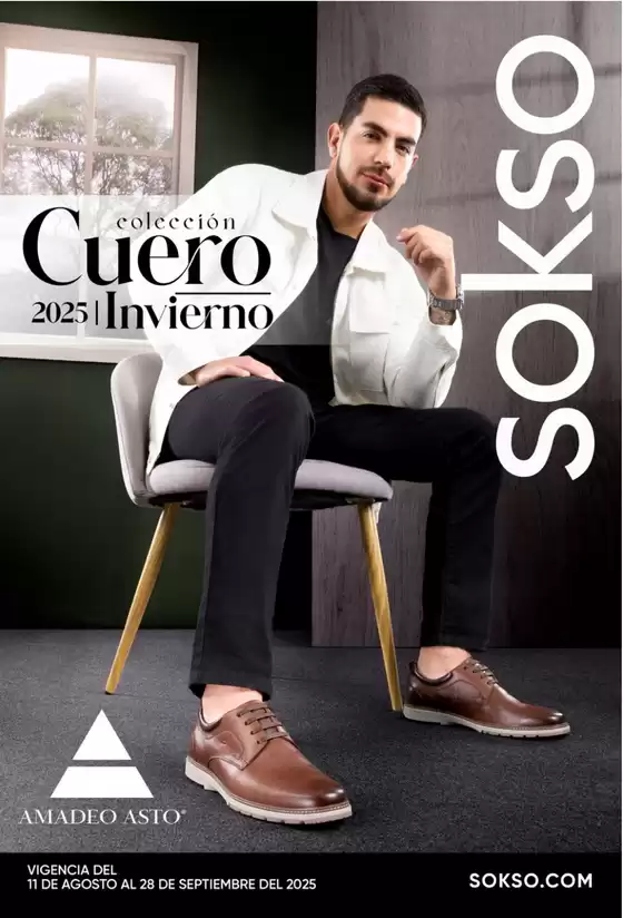 CABALLEROS CC6