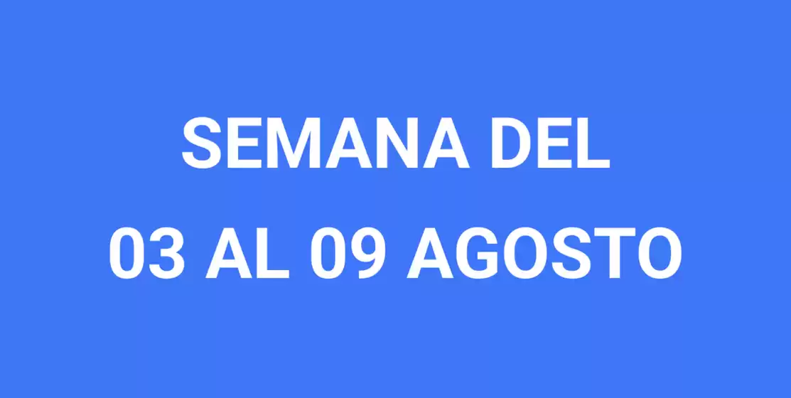 Catálogo Wong | Ofertas para cazadores de gangas | 2026-08-03T00:00:00.000Z - 2026-08-09T00:00:00.000Z