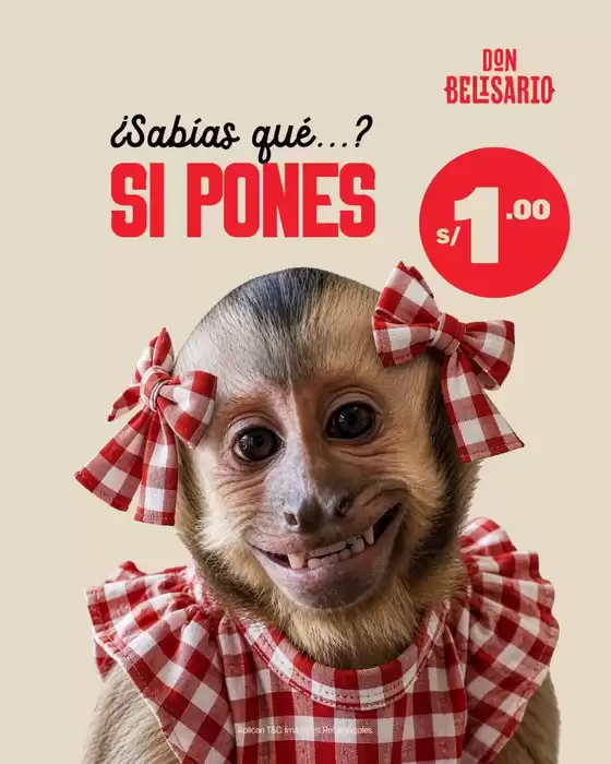 Catálogo Don Belisario | Sabias que si pones | 2026-08-18T00:00:00.000Z - 2026-08-31T00:00:00.000Z