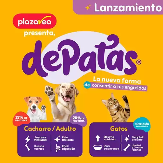 ESPECIAL MASCOTAS N4