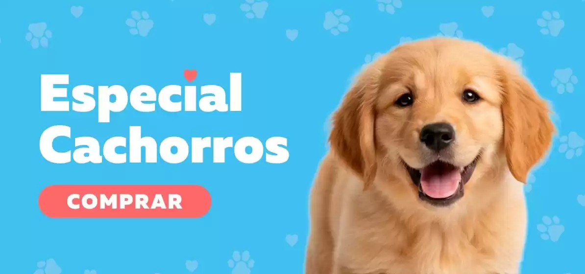 Catálogo Superpet | Excelente oferta para todos los clientes | 2026-09-02T00:00:00.000Z - 2026-09-16T00:00:00.000Z