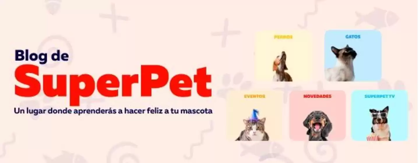 Catálogo Superpet | Ofertas principales para todos los clientes | 2026-09-02T00:00:00.000Z - 2026-09-16T00:00:00.000Z