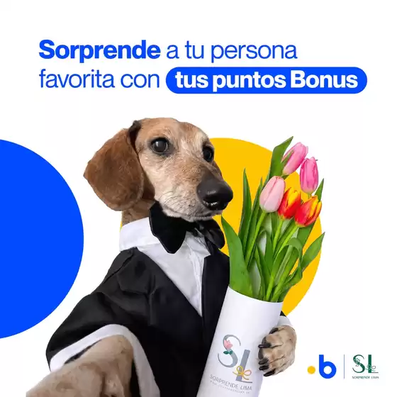 Catálogo Bonus | Sorprende a tu persona favorita con tus puntos bonus  | 2026-09-17T00:00:00.000Z - 2026-10-17T00:00:00.000Z