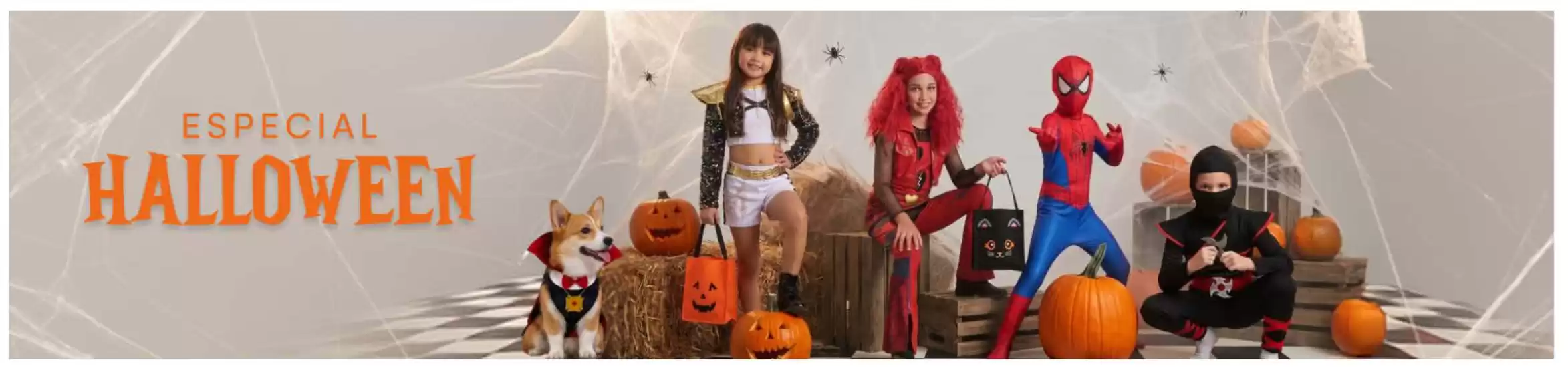 Catálogo Oechsle | Especial halloween  | 2026-10-07T00:00:00.000Z - 2026-10-31T00:00:00.000Z