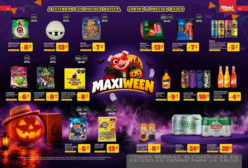 main_flyer image