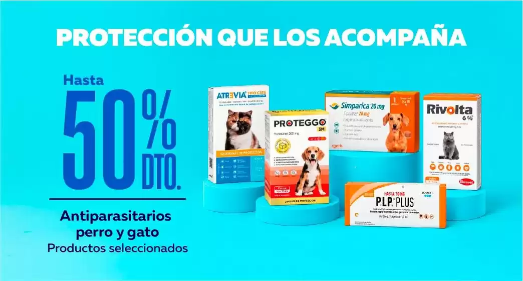 Catálogo Superpet | Ofertas principales para todos los cazadores de gangas | 2026-10-19T00:00:00.000Z - 2026-11-02T00:00:00.000Z