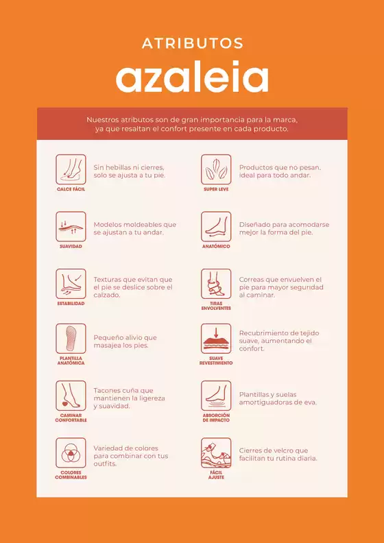 Catálogo Azaleia