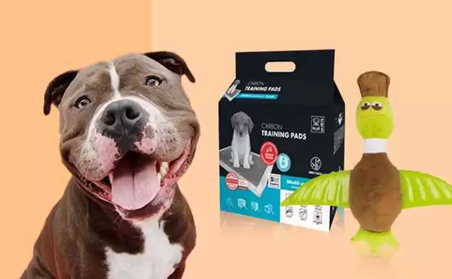 Catálogo Superpet | Nuevas ofertas para descubrir | 2025-10-27T00:00:00.000Z - 2025-11-10T00:00:00.000Z