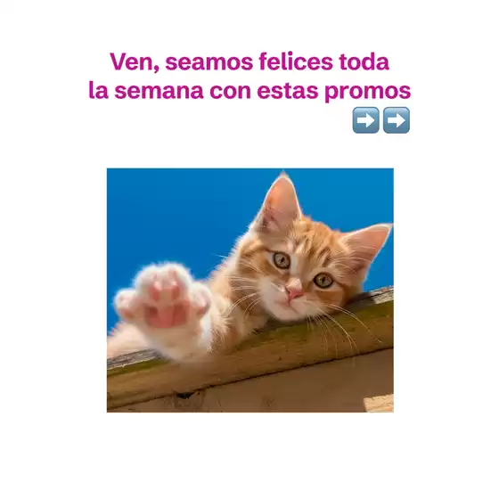 Catálogo Tambo | Nuevas ofertas para descubrir | 2025-11-26T00:00:00.000Z - 2025-12-10T00:00:00.000Z