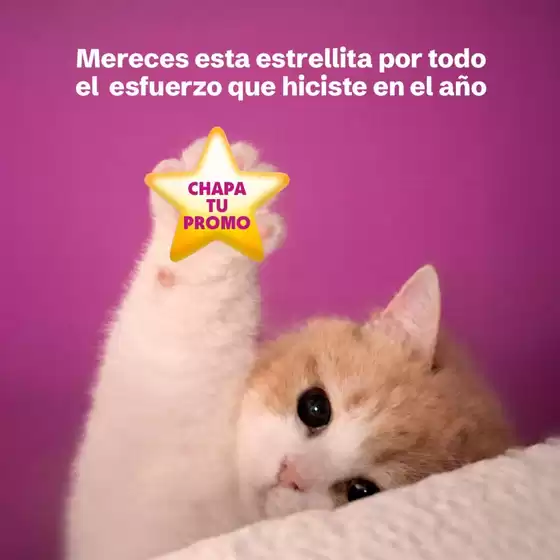 Catálogo Tambo | Catálogo Tambo | 2025-12-29T00:00:00.000Z - 2026-01-12T00:00:00.000Z