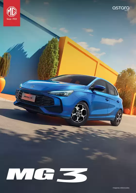 Mg 3 