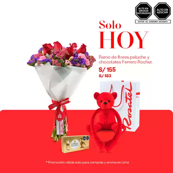 Catálogo Rosatel | Solo hoy  | 2026-01-19T00:00:00.000Z - 2026-01-19T00:00:00.000Z