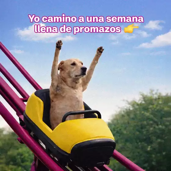 Catálogo Tambo | Ofertas principales para todos los clientes | 2026-01-22T00:00:00.000Z - 2026-02-05T00:00:00.000Z