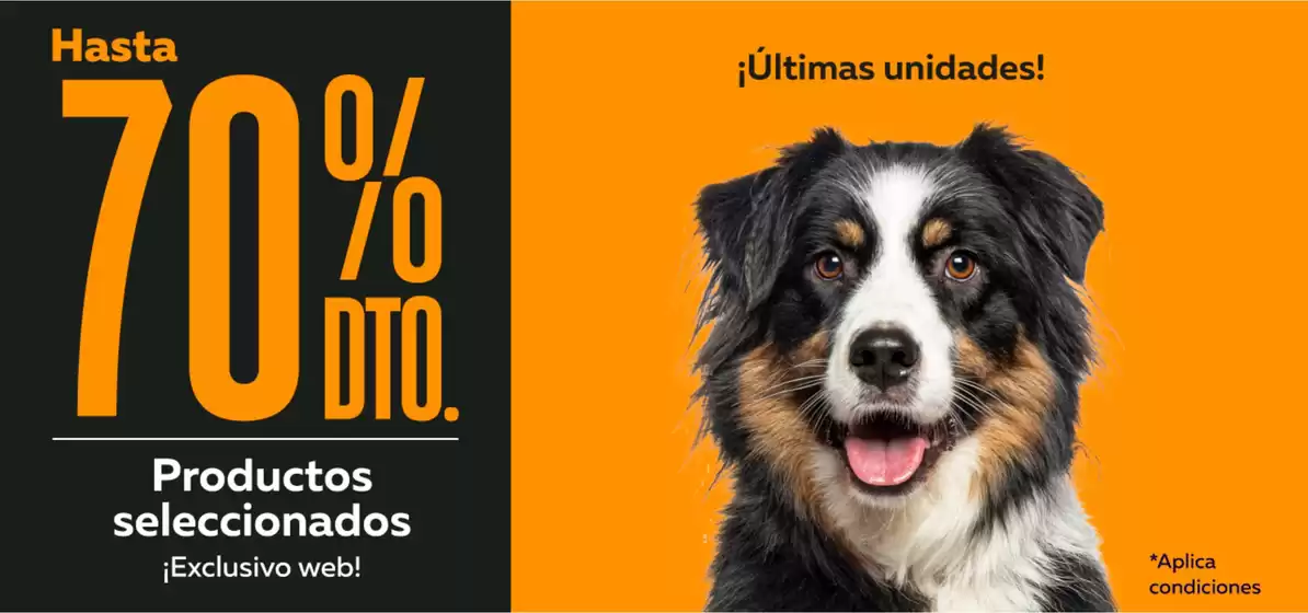 Catálogo Superpet | Gangas exclusivas | 2026-02-16T00:00:00.000Z - 2026-03-02T00:00:00.000Z