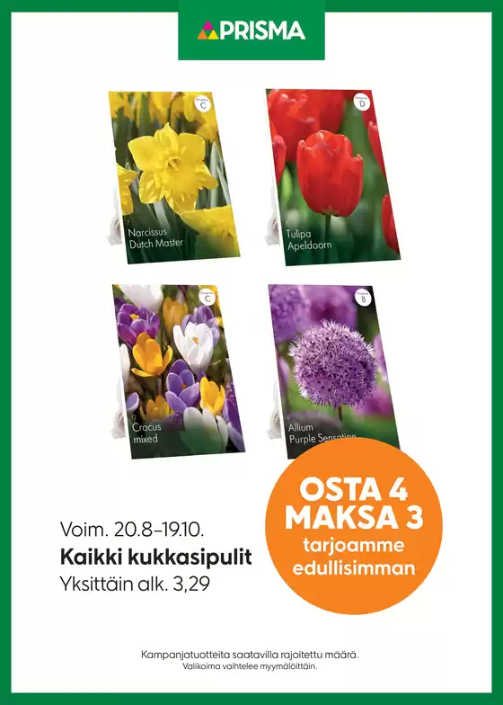 Prisma -luettelo | TOK Prisma kukkasipulit 20.8.-19.10. | 2025-08-20T00:00:00.000Z - 2025-10-19T00:00:00.000Z