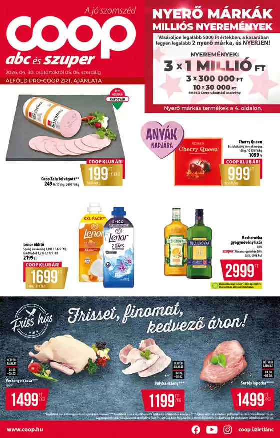 main_flyer image