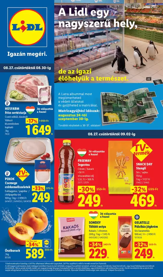 Lidl katalógus, Budapest | Akciós újság 35. hét | 2026-08-27T00:00:00.000Z - 2026-09-02T00:00:00.000Z