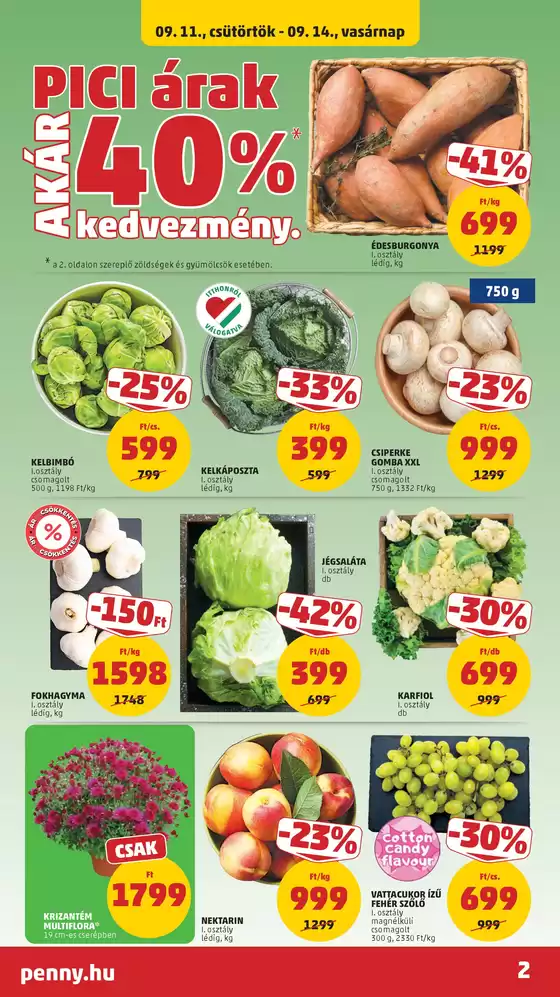 Penny Market akciós