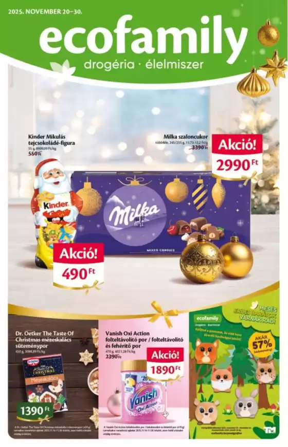 Eco Family katalógus, Székesfehérvár | Ecofamily Akciós újság | 2025-11-20T00:00:00.000Z - 2025-11-30T00:00:00.000Z