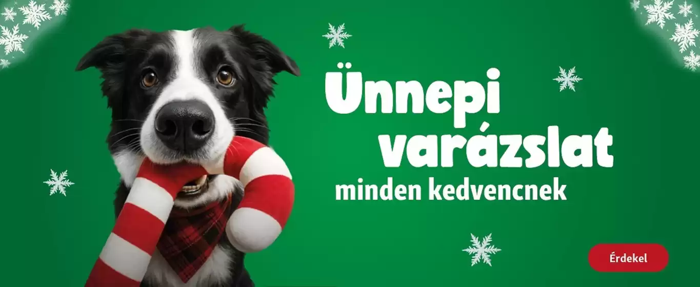 Fressnapf katalógus | Fressnapf akciós | 2025-12-25T00:00:00.000Z - 2026-01-08T00:00:00.000Z