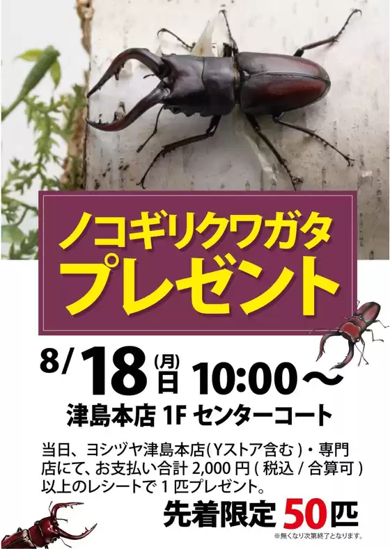 海津市でのヨシヅヤのカタログ | 選ばれた製品の素晴らしい割引 | 2025-08-04T00:00:00.000Z - 2025-08-18T00:00:00.000Z
