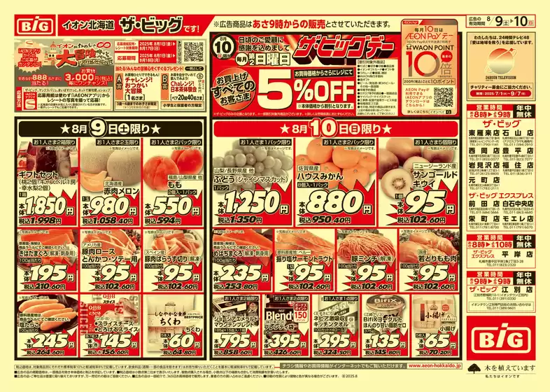上田市でのザ・ビッグのカタログ | ザ・ビッグ チラシ | 2025-08-08T00:00:00.000Z - 2025-08-12T00:00:00.000Z