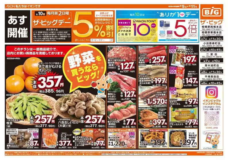上田市でのザ・ビッグのカタログ | 魅力的なオファーを発見する | 2025-08-09T00:00:00.000Z - 2025-08-11T00:00:00.000Z