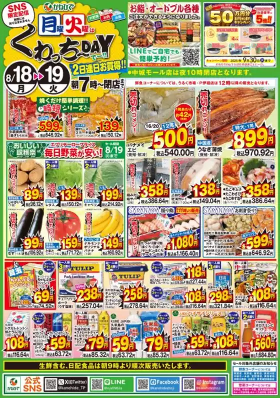 大阪市でのタウンプラザかねひでのカタログ | タウンプラザかねひで チラシ | 2025-08-18T00:00:00.000Z - 2025-08-19T00:00:00.000Z