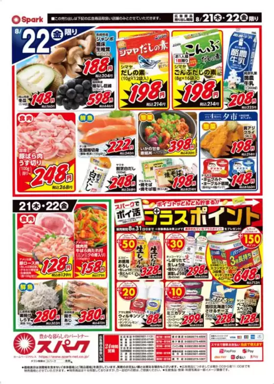 スパーク チラシ