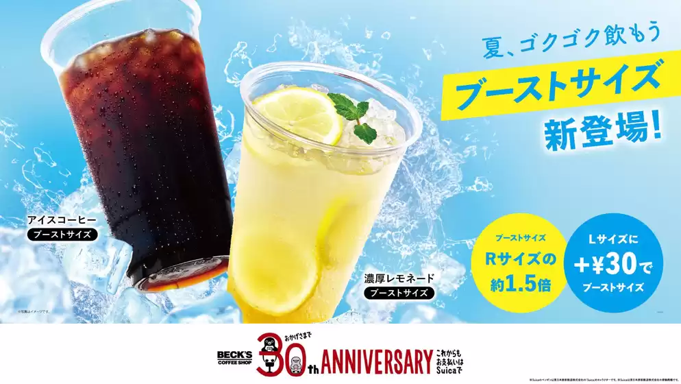 ベックス 最新チラシ