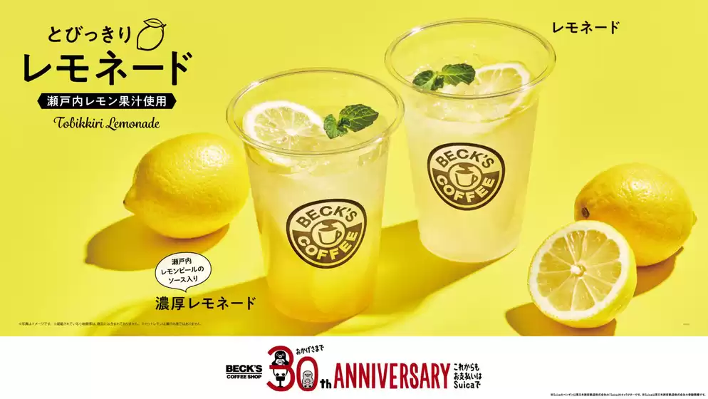 ベックス 最新チラシ