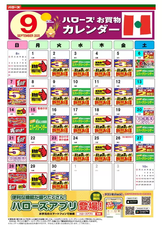 私たちの最高の掘り出し物