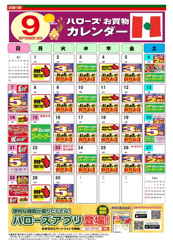 私たちの最高の掘り出し物