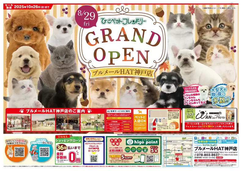 すべての掘り出し物ハンターのためのトップオファー