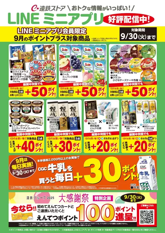 遠鉄ストア チラシ