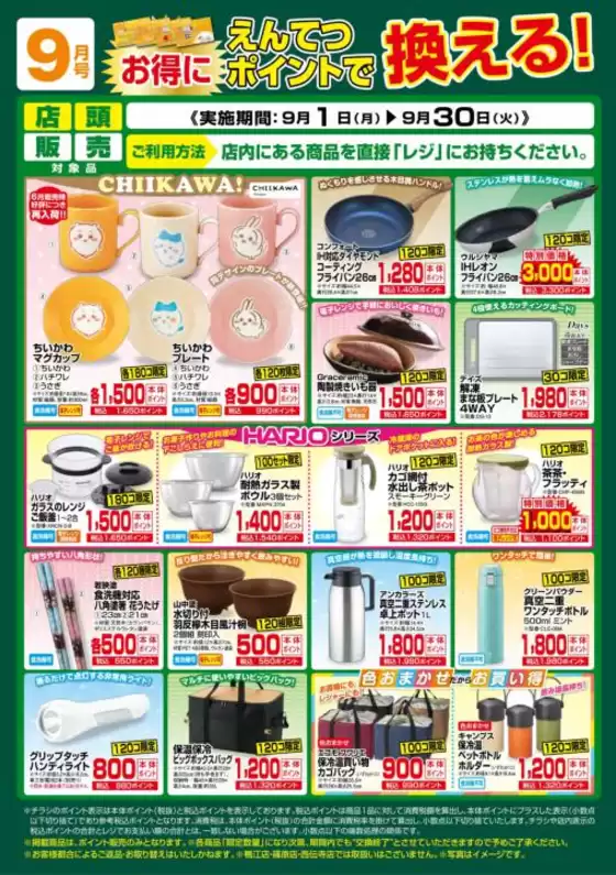 フードワン チラシ
