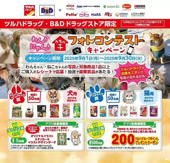 私たちの最高の掘り出し物